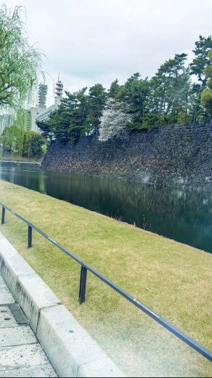 1713254647105702.png image.png