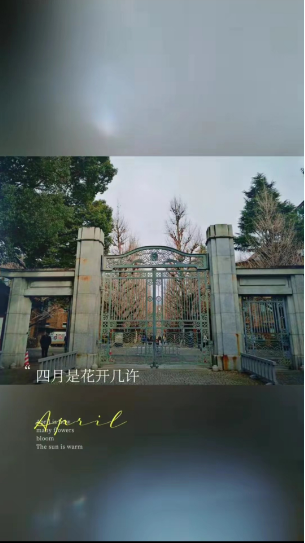 1713254697241535.png image.png