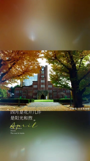 1713254704343982.png image.png